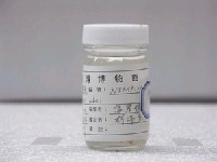 藏品(阿部單棘躄魚)的圖片